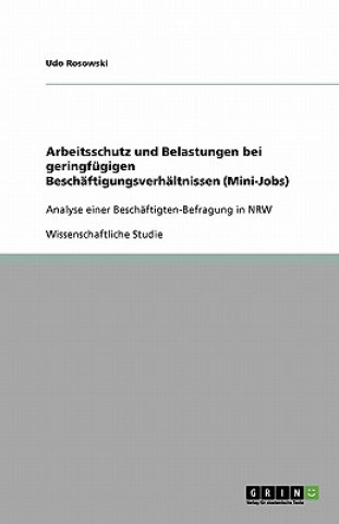 Książka Arbeitsschutz und Belastungen bei geringfugigen Beschaftigungsverhaltnissen (Mini-Jobs) Udo Rosowski