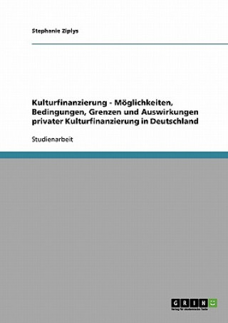 Könyv Kulturfinanzierung - Moeglichkeiten, Bedingungen, Grenzen und Auswirkungen privater Kulturfinanzierung in Deutschland Stephanie Ziplys