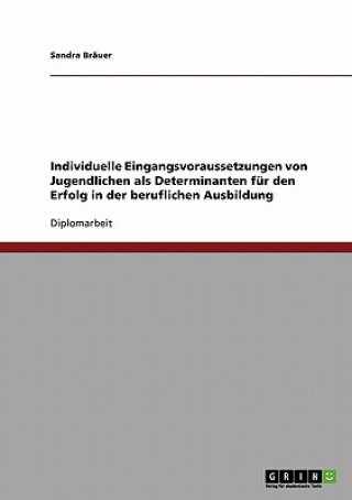 Könyv Individuelle Eingangsvoraussetzungen von Jugendlichen als Determinanten fur den Erfolg in der beruflichen Ausbildung Sandra Bräuer