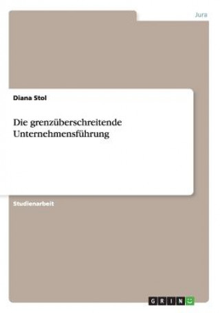 Kniha Die grenzüberschreitende Unternehmensführung Diana Stol