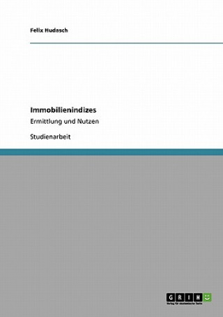 Kniha Immobilienindizes Felix Hudasch