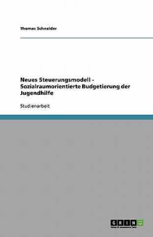 Könyv Neues Steuerungsmodell - Sozialraumorientierte Budgetierung der Jugendhilfe Thomas Schneider