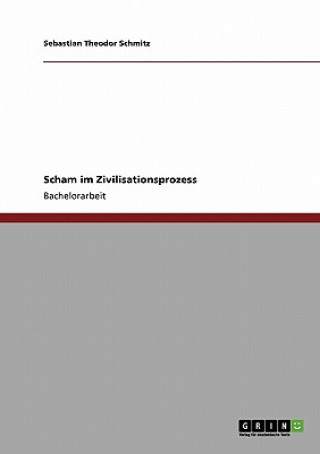 Книга Scham im Zivilisationsprozess Sebastian Theodor Schmitz