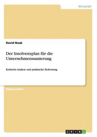 Książka Insolvenzplan fur die Unternehmenssanierung David Noak