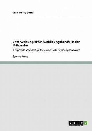 Книга Unterweisungen F r Ausbildungsberufe in Der It-Branche Grin Verlag (Hrsg )
