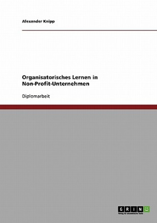 Kniha Organisatorisches Lernen in Non-Profit-Unternehmen Alexander Knipp