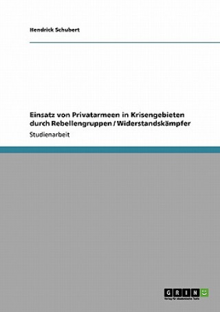 Kniha Einsatz von Privatarmeen in Krisengebieten durch Rebellengruppen / Widerstandskampfer Hendrick Schubert