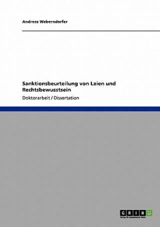 Buch Sanktionsbeurteilung von Laien und Rechtsbewusstsein Andreas Weberndorfer