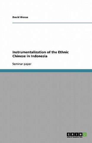 Könyv Instrumentalization of the Ethnic Chinese in Indonesia David Wense