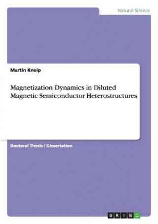 Carte Magnetization Dynamics in Diluted Magnetic Semiconductor Heterostructures Martin Kneip