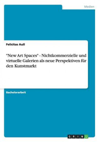 Könyv New Art Spaces - Nichtkommerzielle und virtuelle Galerien als neue Perspektiven fur den Kunstmarkt Felicitas Aull