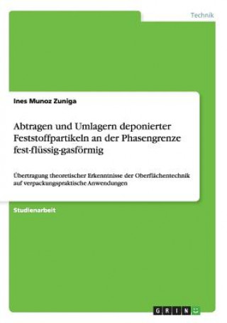 Könyv Abtragen und Umlagern deponierter Feststoffpartikeln an der Phasengrenze fest-flussig-gasfoermig Ines Munoz Zuniga