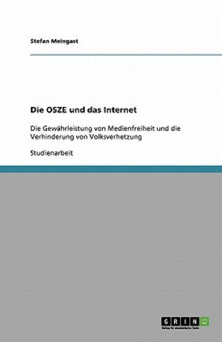 Könyv Die OSZE und das Internet Stefan Meingast