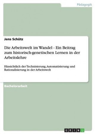 Könyv Arbeitswelt im Wandel - Ein Beitrag zum historisch-genetischen Lernen in der Arbeitslehre Jens Schütz