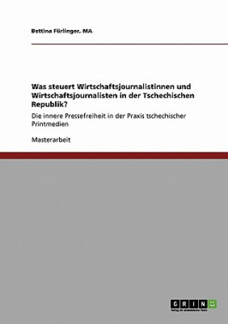 Książka Was steuert Wirtschaftsjournalistinnen und Wirtschaftsjournalisten in der Tschechischen Republik? MA