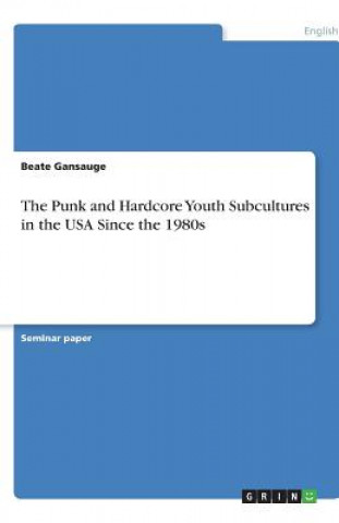 Kniha The Punk and Hardcore Youth Subcultures in the USA Since the 1980s Beate Gansauge