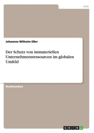 Knjiga Schutz von immateriellen Unternehmensressourcen im globalen Umfeld Johannes Wilhelm Eßer