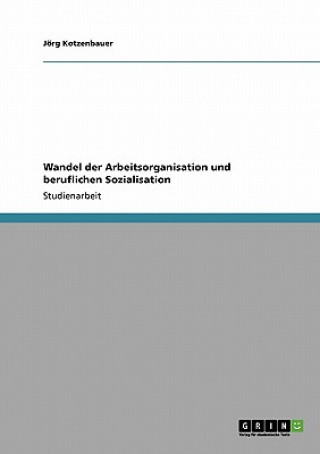 Kniha Wandel der Arbeitsorganisation und beruflichen Sozialisation Jörg Kotzenbauer