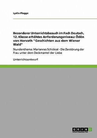 Książka Besonderer Unterrichtsbesuch im Fach Deutsch, 12. Klasse erhoehtes Anforderungsniveau Lydia Plagge