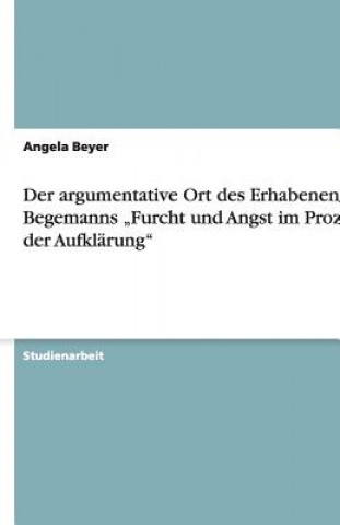 Carte Der argumentative Ort des Erhabenen in Begemanns "Furcht und Angst im Prozeß der Aufklärung" Angela Beyer