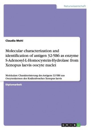 Kniha Molecular characterization and identification of antigen 32-5B6 as enzyme S-Adenosyl-L-Homocystein-Hydrolase from Xenopus laevis oocyte nuclei Claudia Mohl