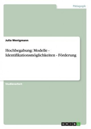 Buch Hochbegabung Julia Wenigmann