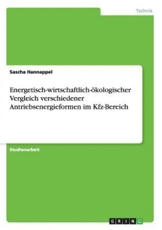 Kniha Energetisch-wirtschaftlich-oekologischer Vergleich verschiedener Antriebsenergieformen im Kfz-Bereich Sascha Hannappel
