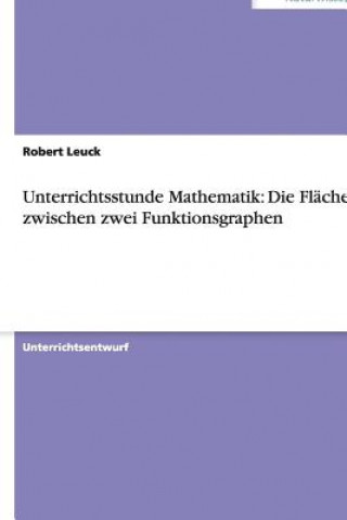 Könyv Unterrichtsstunde Mathematik: Die Fläche zwischen zwei Funktionsgraphen Robert Leuck