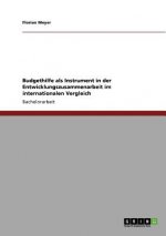 Carte Budgethilfe als Instrument in der Entwicklungszusammenarbeit im internationalen Vergleich Florian Meyer