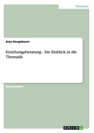 Könyv Erziehungsberatung - Ein Einblick in die Thematik Anja Neugebauer
