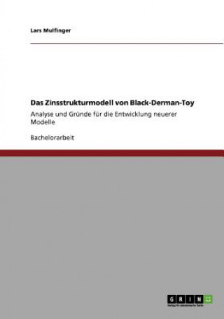 Kniha Zinsstrukturmodell von Black-Derman-Toy Lars Mulfinger