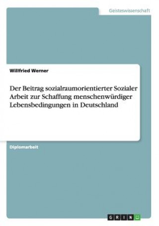 Könyv Beitrag sozialraumorientierter Sozialer Arbeit zur Schaffung menschenwurdiger Lebensbedingungen in Deutschland Willfried Werner