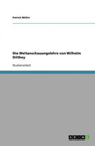 Kniha Weltanschauungslehre von Wilhelm Dilthey Patrick Müller