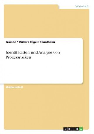 Carte Identifikation und Analyse von Prozessrisiken rambo
