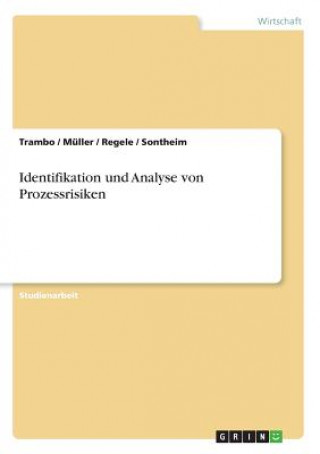 Buch Identifikation und Analyse von Prozessrisiken rambo