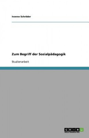 Carte Zum Begriff der Sozialpadagogik Ivonne Schröder