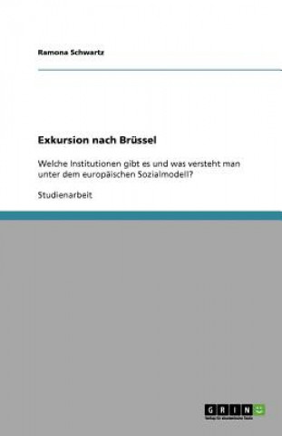 Kniha Exkursion nach Brussel Ramona Schwartz