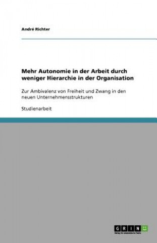 Könyv Mehr Autonomie in der Arbeit durch weniger Hierarchie in der Organisation André Richter