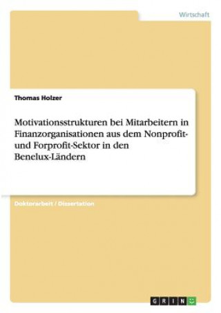 Könyv Motivationsstrukturen bei Mitarbeitern in Finanzorganisationen aus dem Nonprofit- und Forprofit-Sektor in den Benelux-Landern Thomas Holzer