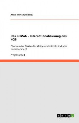 Kniha Das BilMoG - Internationalisierung des HGB Anna-Maria Wehberg