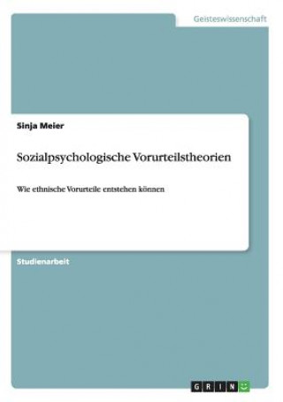 Książka Sozialpsychologische Vorurteilstheorien Sinja Meier
