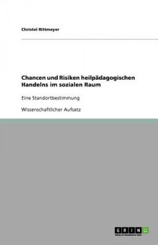 Kniha Chancen und Risiken heilpädagogischen Handelns im sozialen Raum Christel Rittmeyer