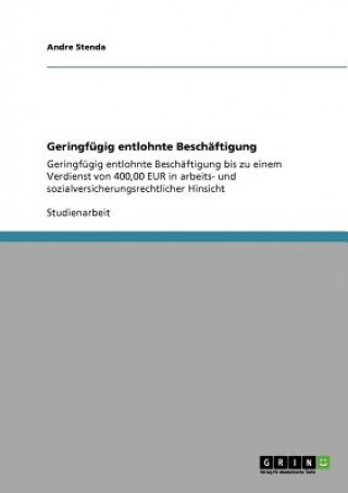 Könyv Geringfugig entlohnte Beschaftigung Andre Stenda