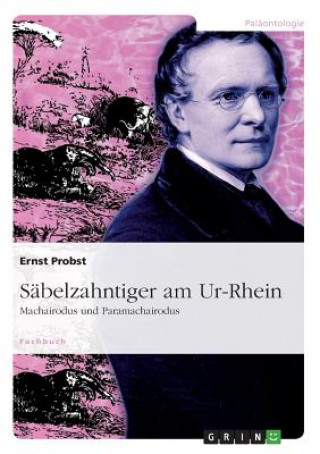 Książka S belzahntiger Am Ur-Rhein Ernst Probst