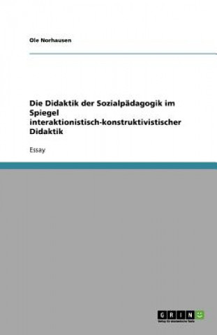 Carte Didaktik Der Sozialpadagogik Im Spiegel Interaktionistisch-Konstruktivistischer Didaktik Ole Norhausen