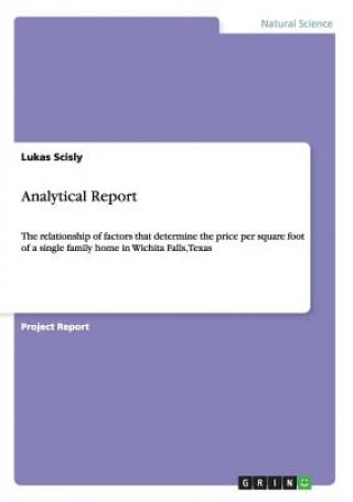 Könyv Analytical Report Lukas Scisly
