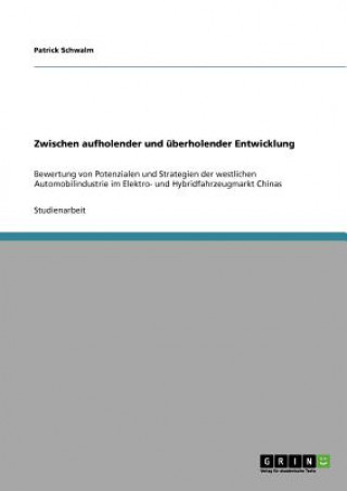 Könyv Potenziale und Strategie der westlichen Automobilindustrie im Elektro- und Hybridfahrzeugmarkt Chinas Patrick Schwalm