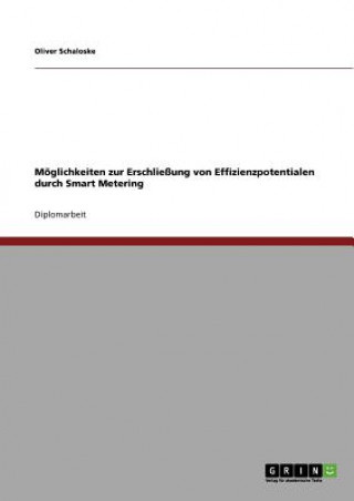 Книга Smart Metering. Effizienzpotentiale Erschliessen. Oliver Schaloske