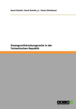 Книга Zwangsvollstreckungsrecht in der Tschechischen Republik Karel Schelle
