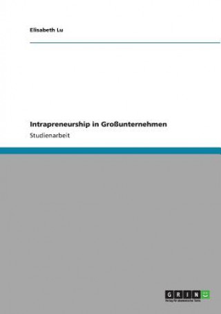 Könyv Intrapreneurship in Grossunternehmen Elisabeth Lu